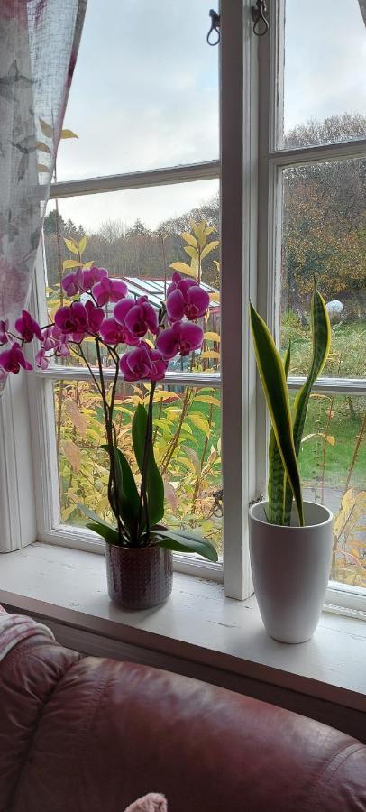 Pilane B&B Langekarr Buitenkant foto